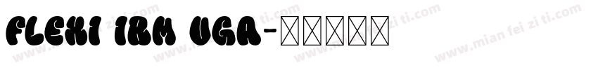 Flexi IBM VGA字体转换